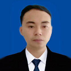 项目咨询顾问