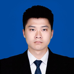项目咨询顾问