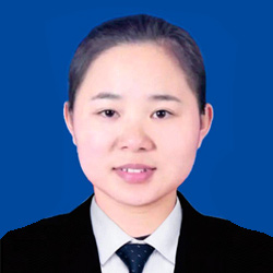 项目咨询顾问